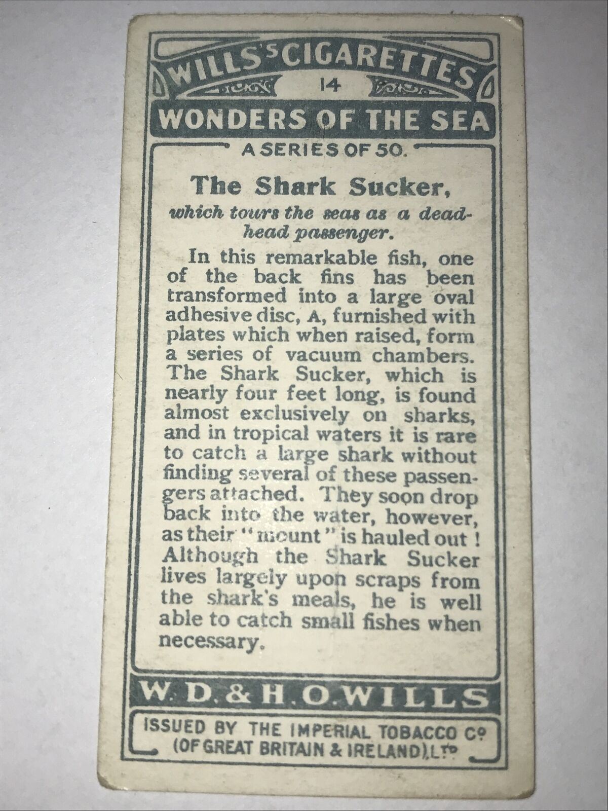 Wills Cigarettes card Wonders of the Sea no14 The Shark Sucker