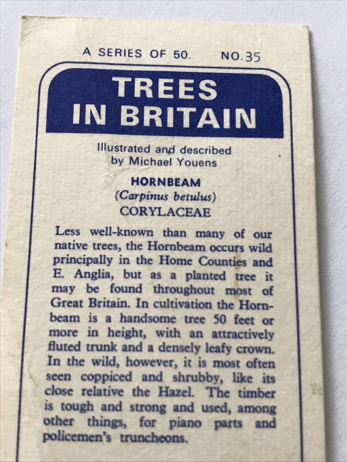 Brooke Bond Tea Card Trees In Britain No 35 Hornbeam 1960s Collectable