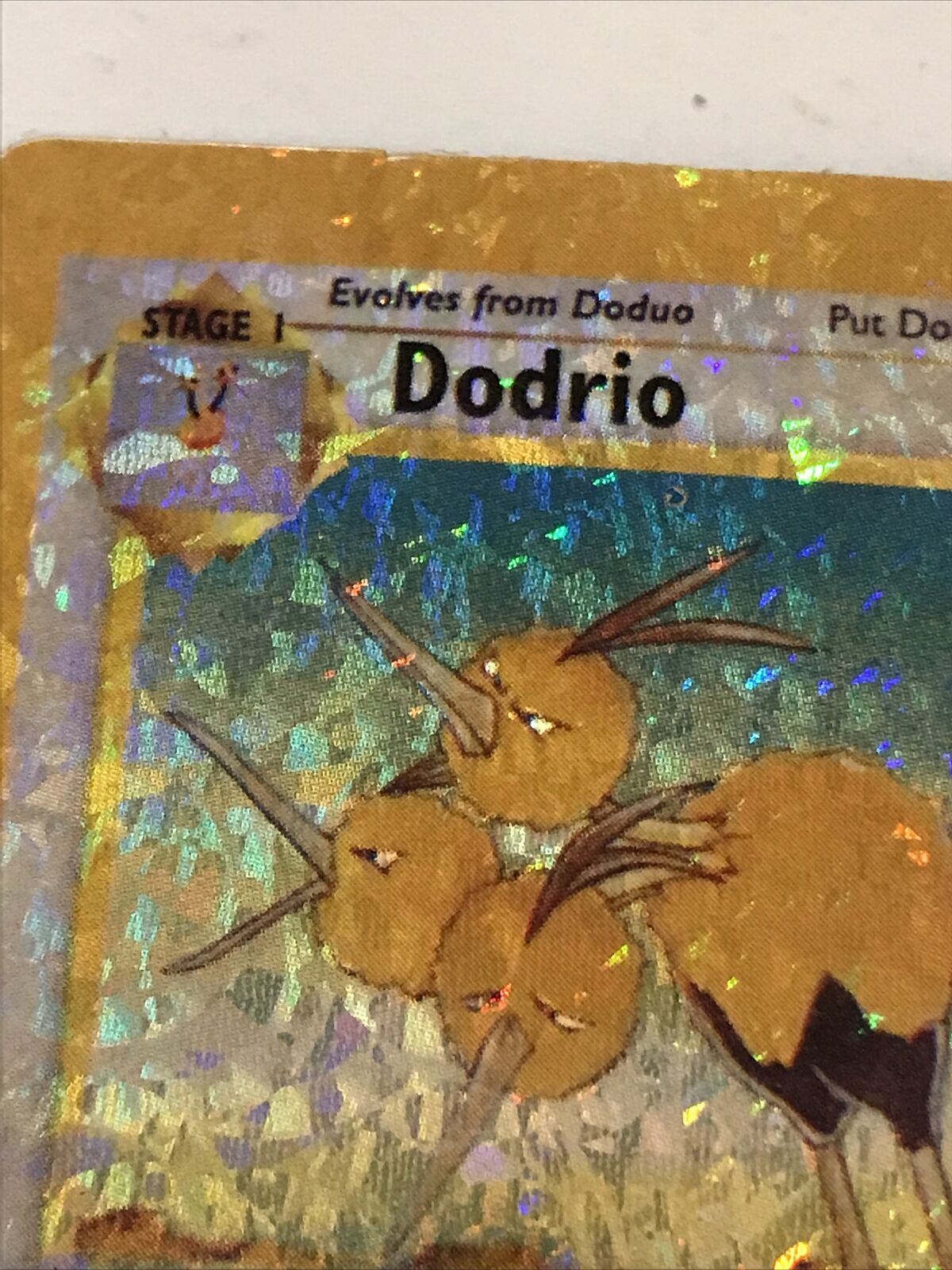 Pokemon Vending STICKER unused 1999 HOLO evolve 34/64 DODRIO jungle NEAR MINT