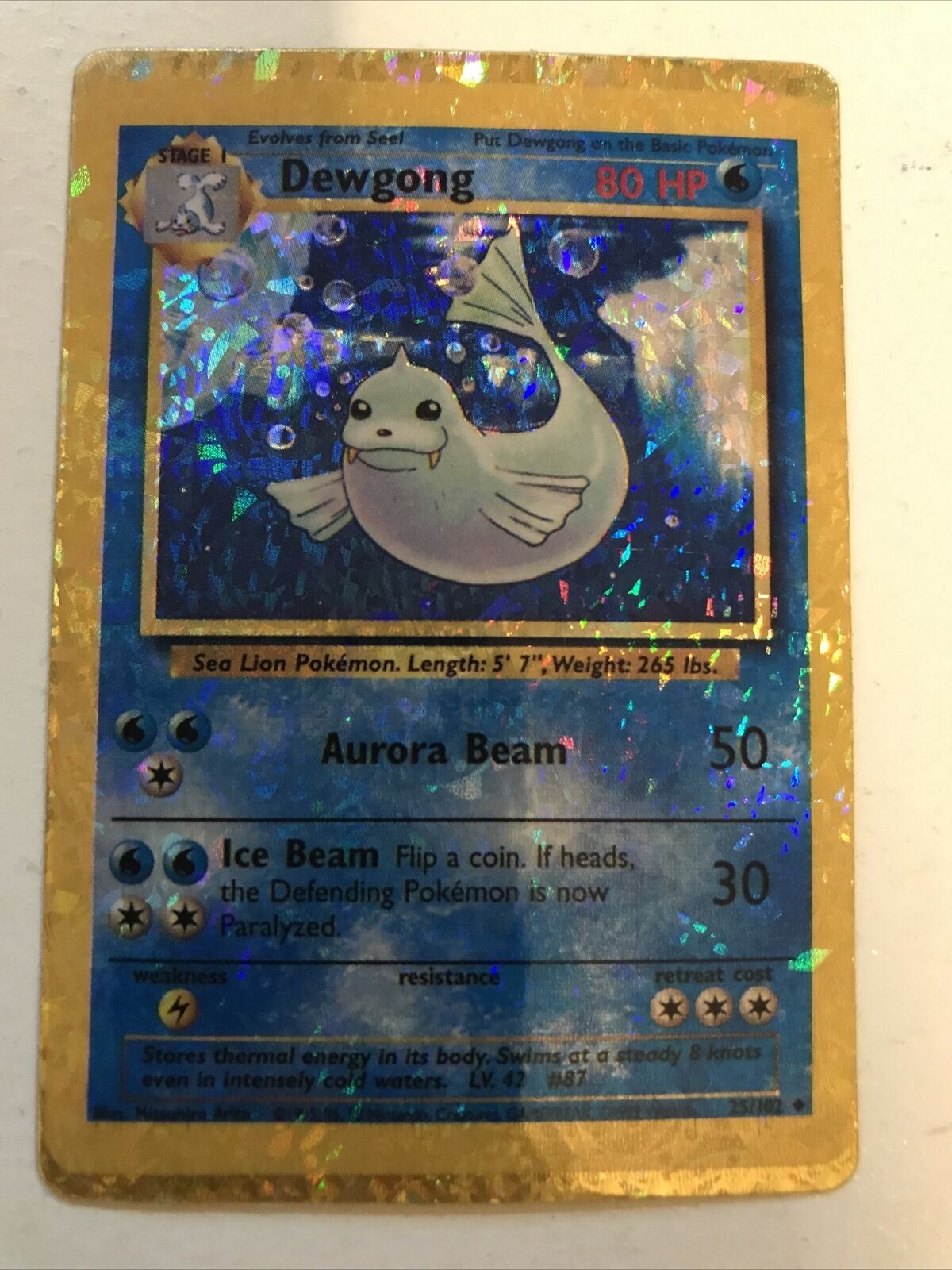 Pokemon Vending STICKER unused 1999 HOLO evolve 25/102 DEWGONG NEAR MINT 90s
