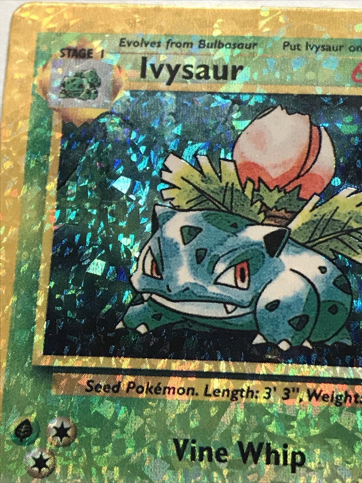 Pokemon Vending STICKER not card unused 1999 HOLO evolve 30/102 IVYSAUR vintage