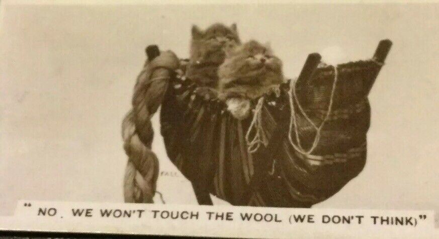 Millhoff Cigarette Cards Series 4 no.2 No, we won’t touch your wool Cute Kittens