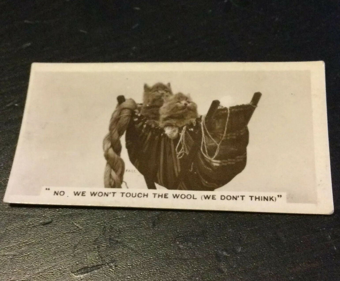Millhoff Cigarette Cards Series 4 no.2 No, we won’t touch your wool Cute Kittens