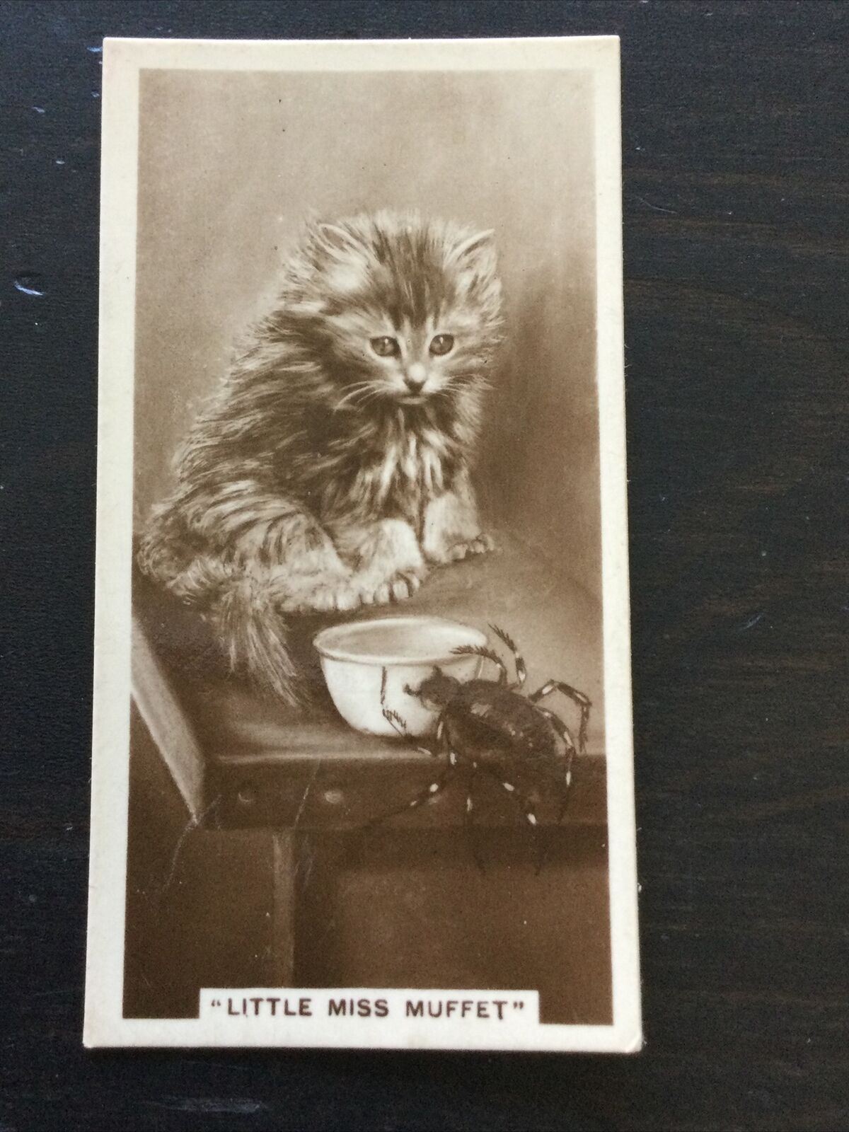 Millhoff De Reszke Cigarette Card Series 5 no.7. 'Little Miss Muffet' kitten & spider vintage photo 1930s