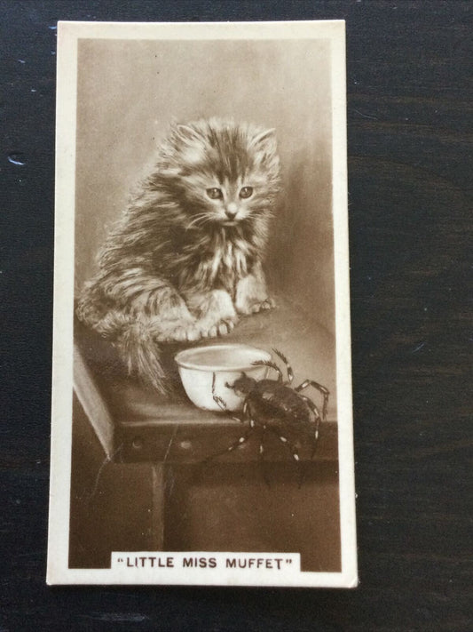 Millhoff De Reszke Cigarette Card Series 5 no.7. 'Little Miss Muffet'  kitten & spider vintage photo 1930s