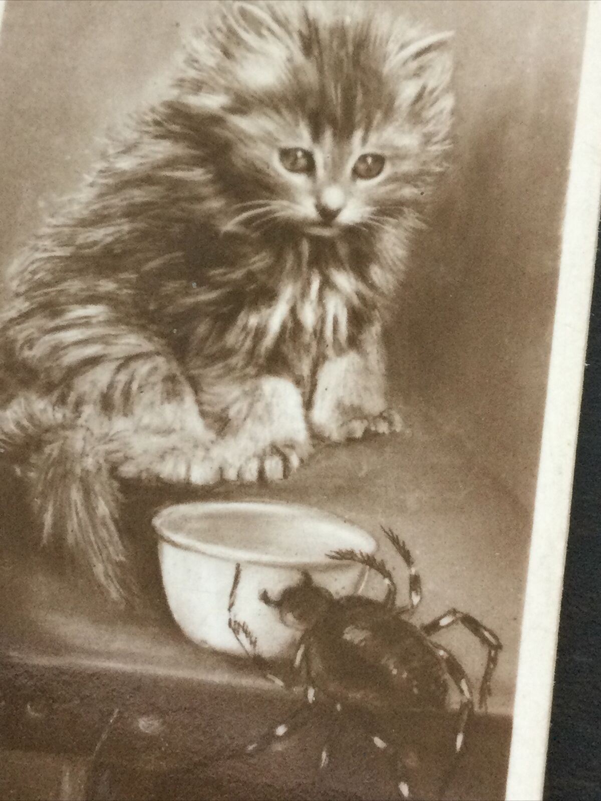 Millhoff De Reszke Cigarette Card Series 5 no.7. 'Little Miss Muffet' kitten & spider vintage photo 1930s