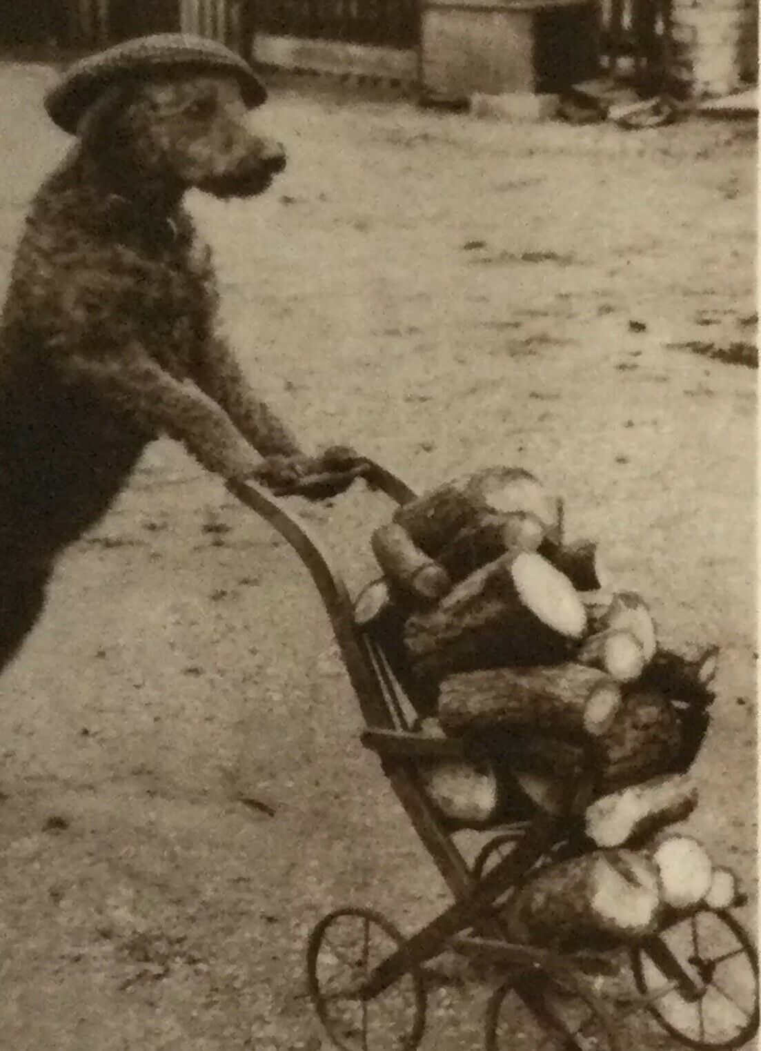 De Reszke Cigarette Card - Series 4 No. 8 -'The Transport Worker' - Funny photo - Dog pushing pram
