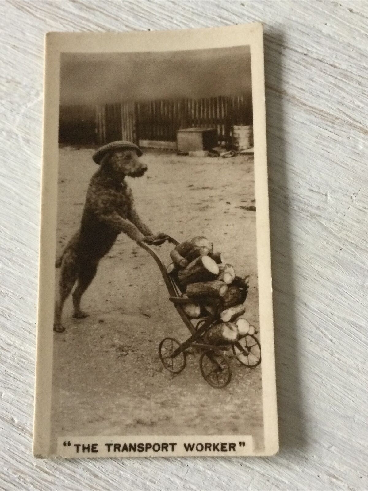 De Reszke Cigarette Card - Series 4 No. 8 -'The Transport Worker' - Funny photo - Dog pushing pram