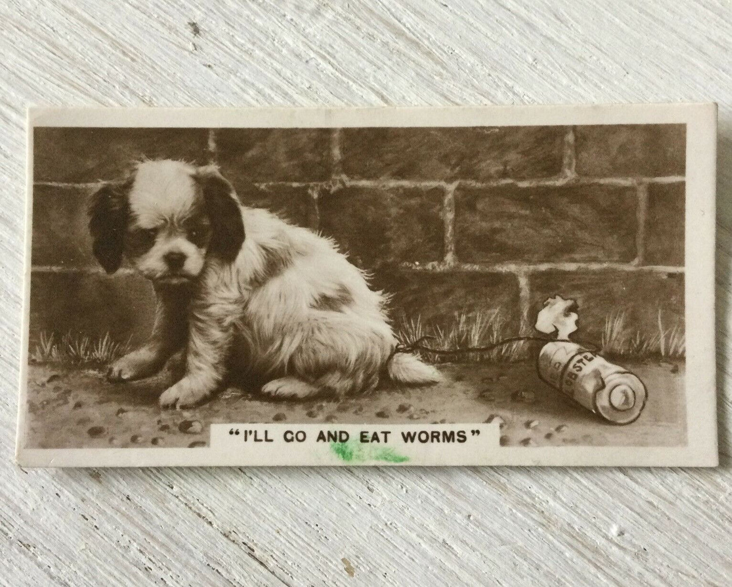 De Reszke Cigarette Card Series 3 no.12 I’ll go & eat worms spaniel puppy photo