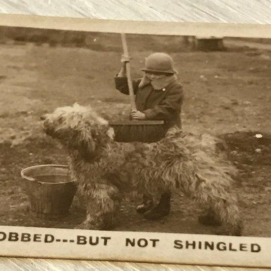 De Reszke Cigarette Card - Series 2 No. 16 - 'Bobbed But Not Shingled' - Dog being bathed outside