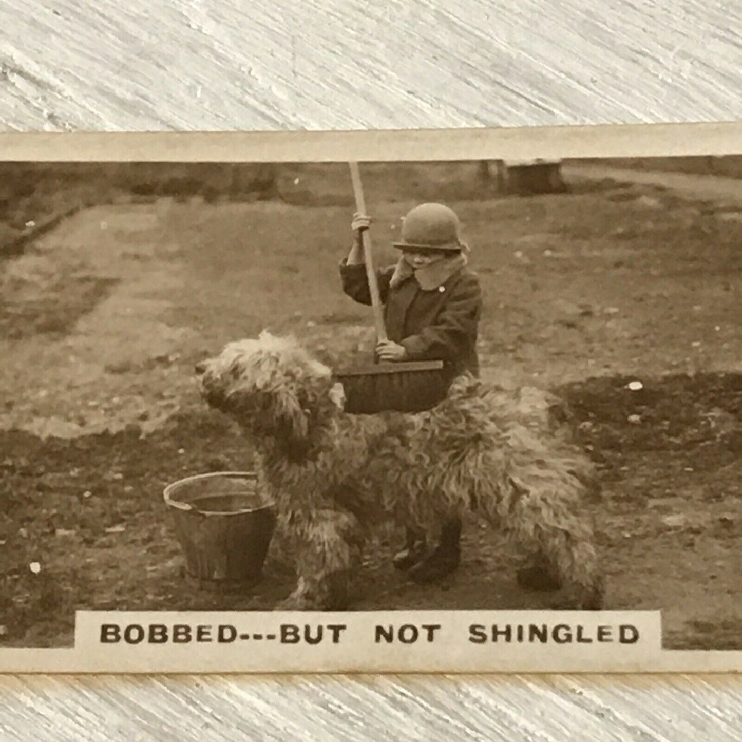 De Reszke Cigarette Card - Series 2 No. 16 - 'Bobbed But Not Shingled' - Dog being bathed outside