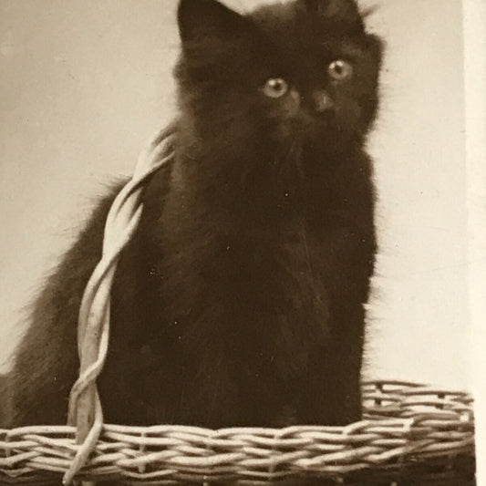 De Reszke Cigarette Card - Series 1 no.25 - Just From Market - Cute Black Cat / Kitten In A Basket