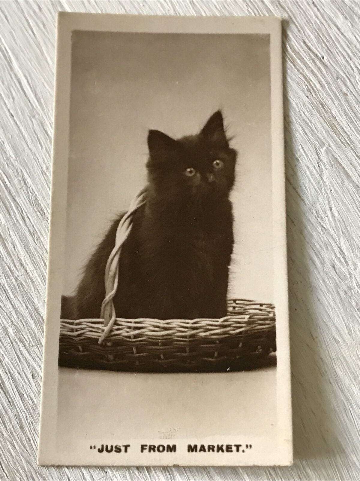 De Reszke Cigarette Card - Series 1 no.25 - Just From Market - Cute Black Cat / Kitten In A Basket