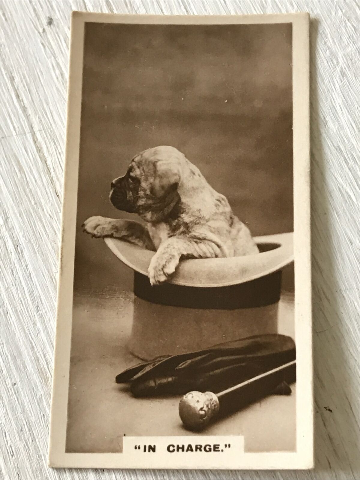 De Reszke Cigarette Card - Series 1 No.2- 'In Charge' - Puppy With Top Hat, Gloves And Cane