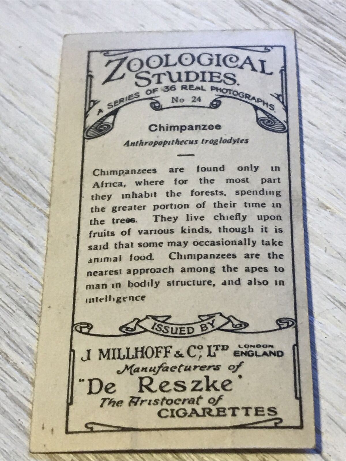 De Reszke Cigarette Card Zoological Studies No 24 Chimpanzee Photograph Vintage from 1929