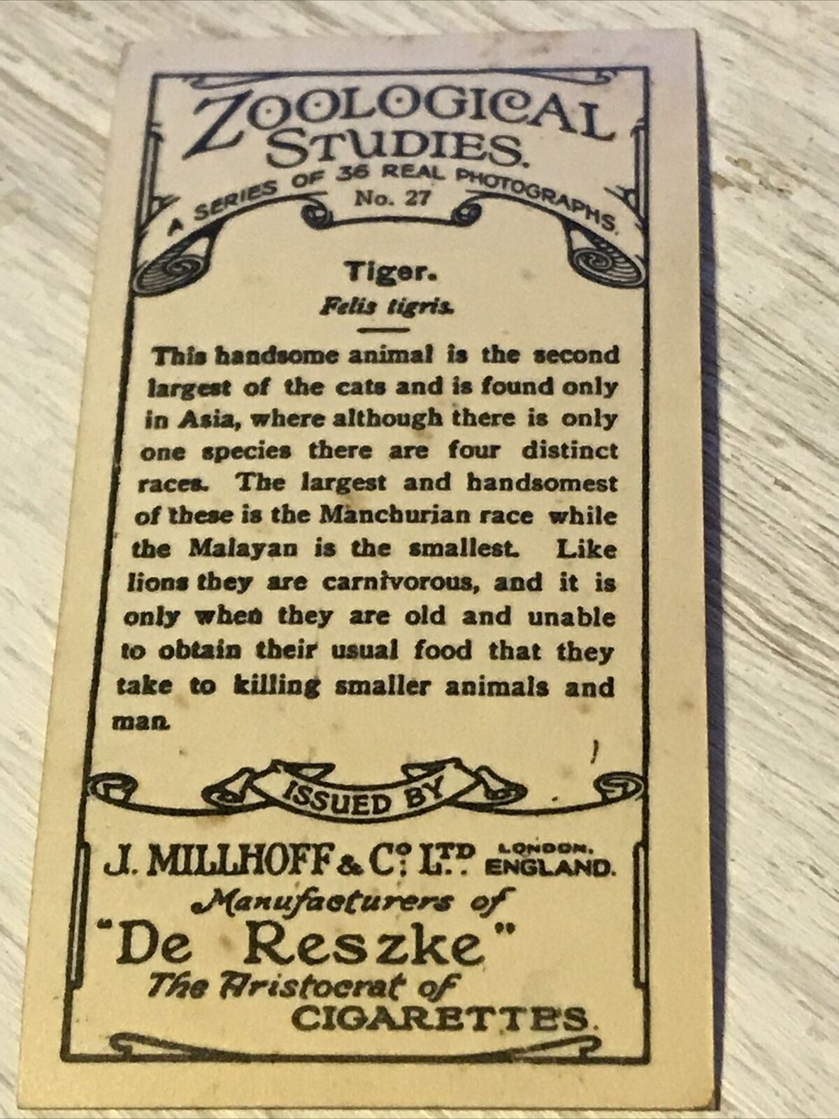 De Reszke Cigarette Card Zoological Studies No 27 Tiger Photograph 1920s Vintag