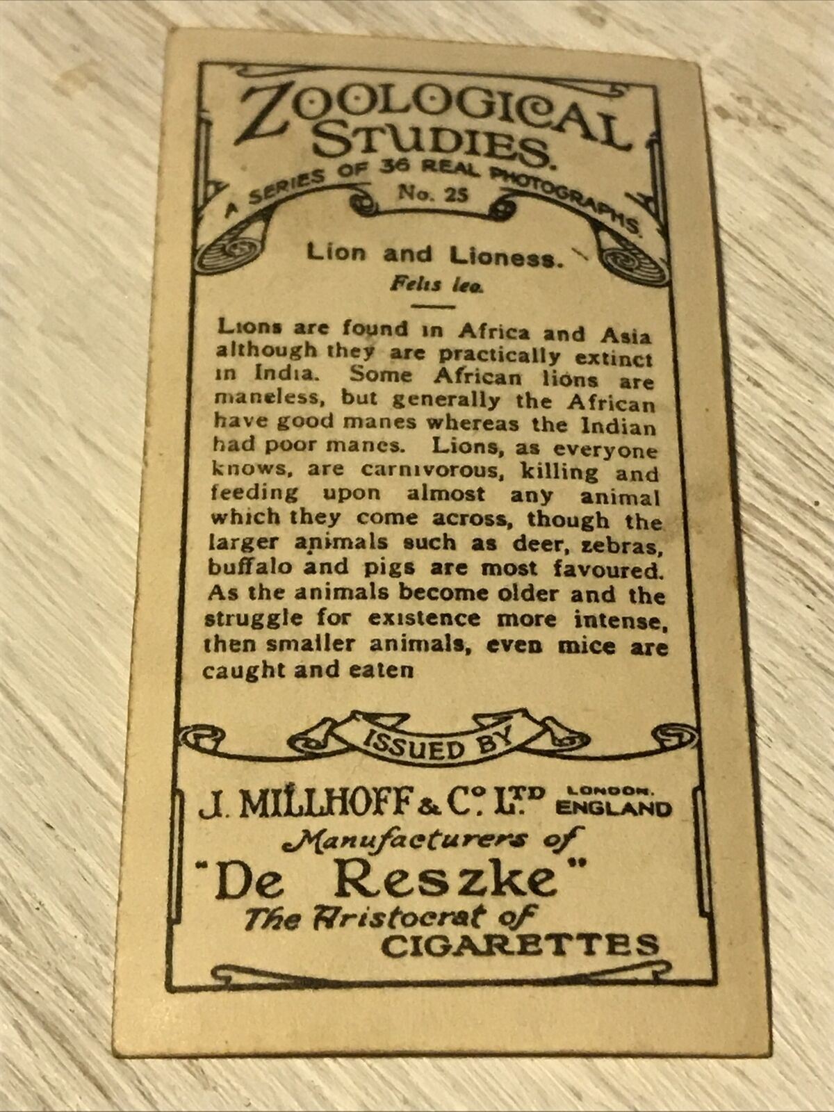 De Reszke Cigarette Card Zoological Studies #25 Lion Lioness Photo Vintage Zoo