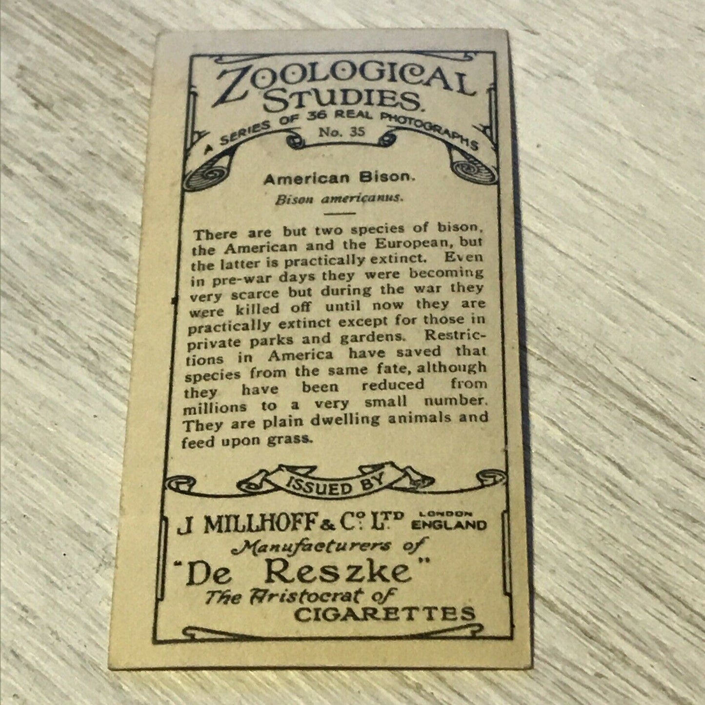 De Reszke Cigarette Card Zoological Studies #35 American Bison Photo 1920s Zoo