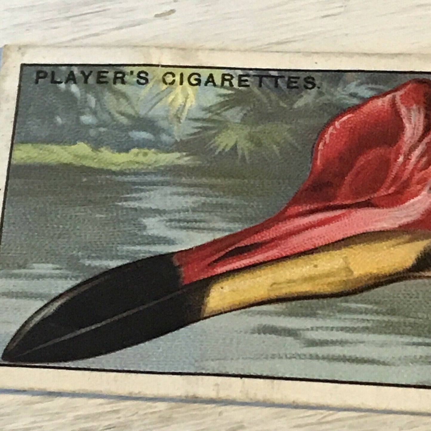Players Cigarette Card - 1929 - 'Curious Beaks' - No. 29 - The Australian Jacana - Bird Picture -