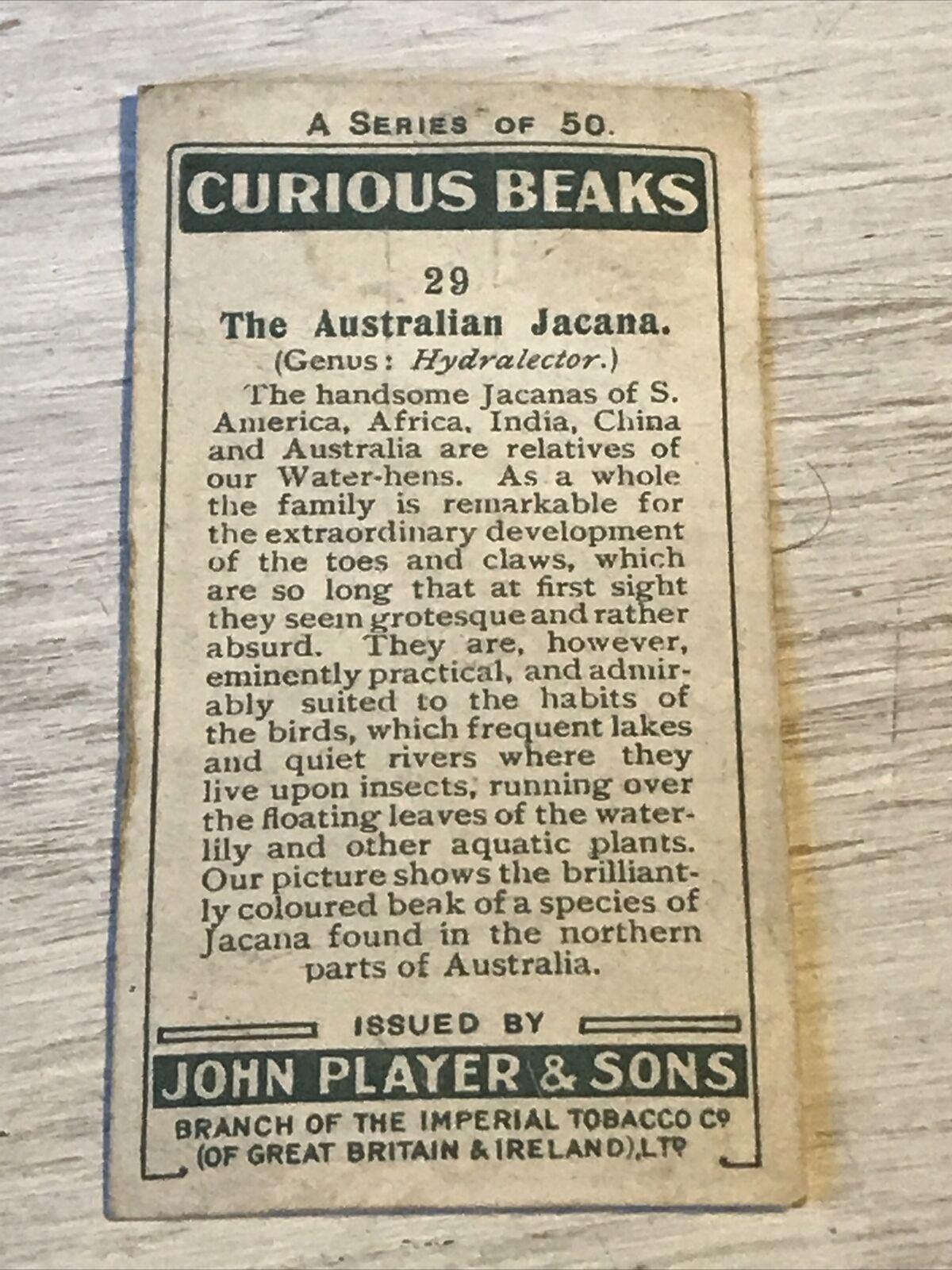 Players Cigarette Card - 1929 - 'Curious Beaks' - No. 29 - The Australian Jacana - Bird Picture -