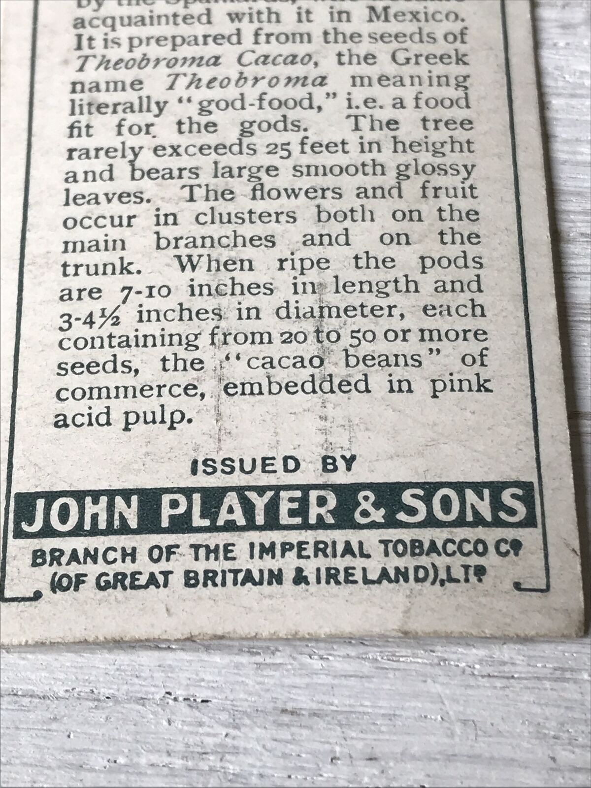 Vintage Players Cigarette Card - Products Of The World - No. 6 - Cocoa 1 - Cacao Tree Trinidad