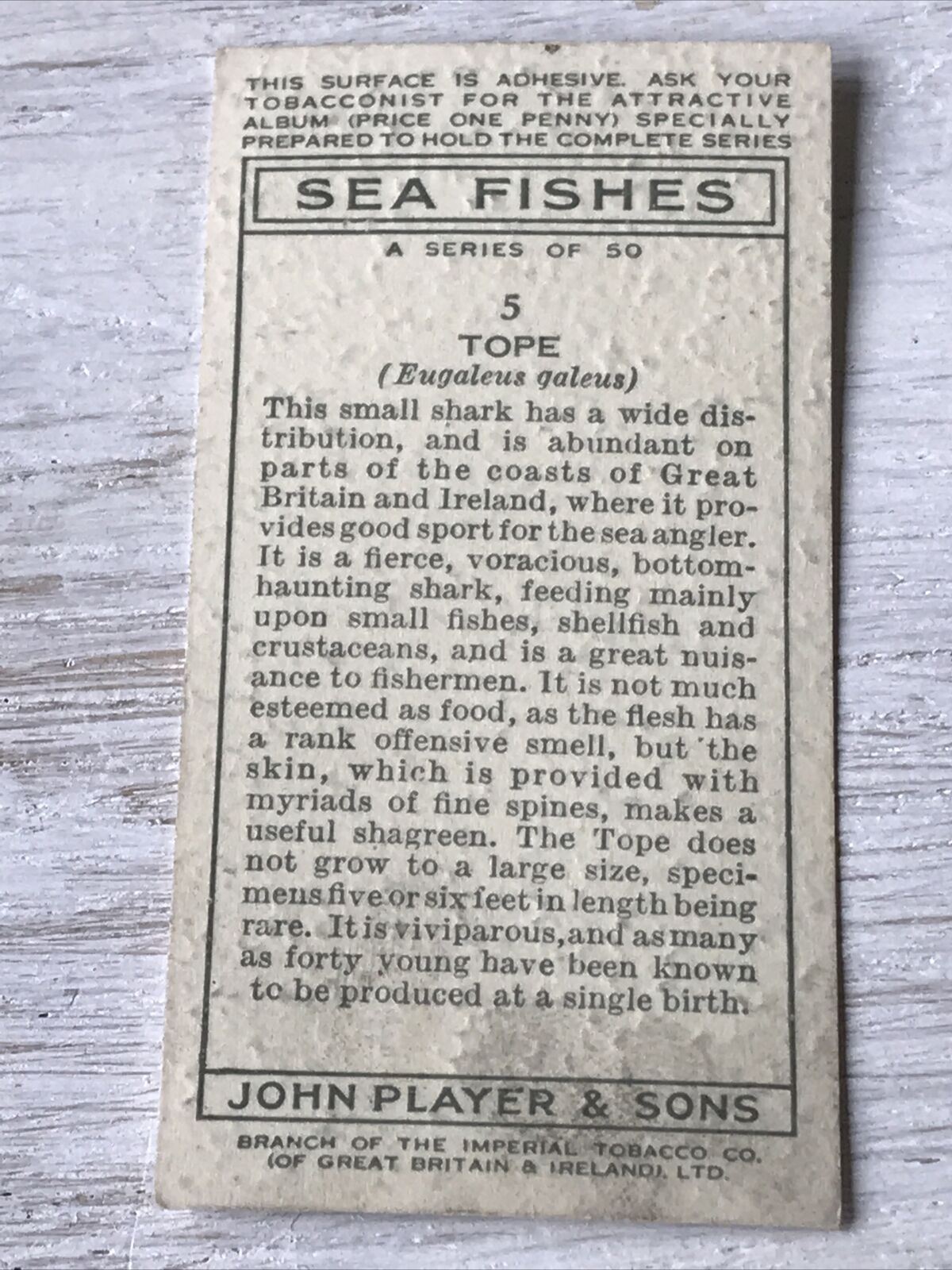 Vintage Players Cigarette Card - Sea Fishes - No. 2 Basking Shark - 1930s