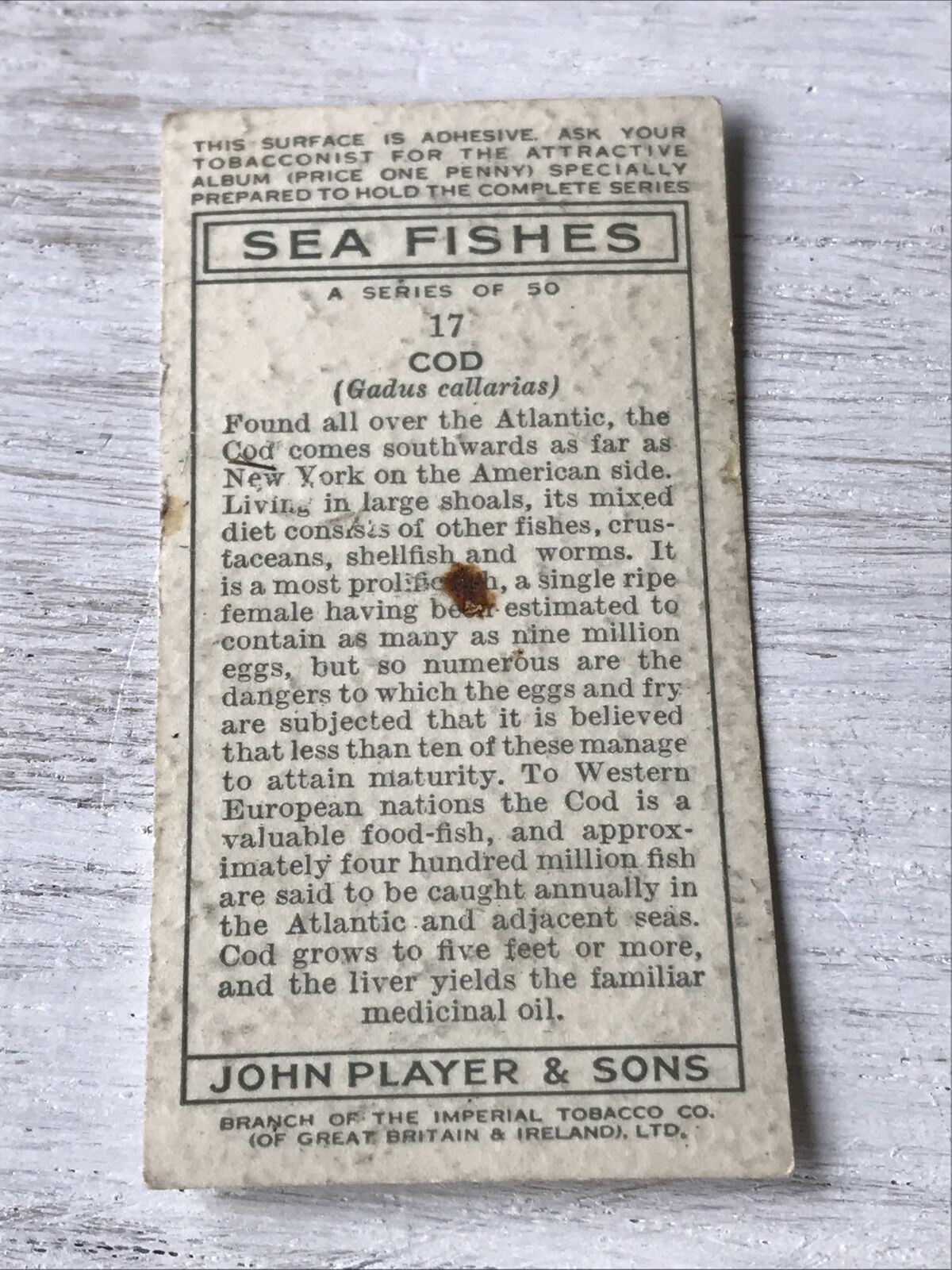 Vintage Players Cigarette Card - Sea Fishes - No. 17 Cod Fish - Atlantic - 1930s