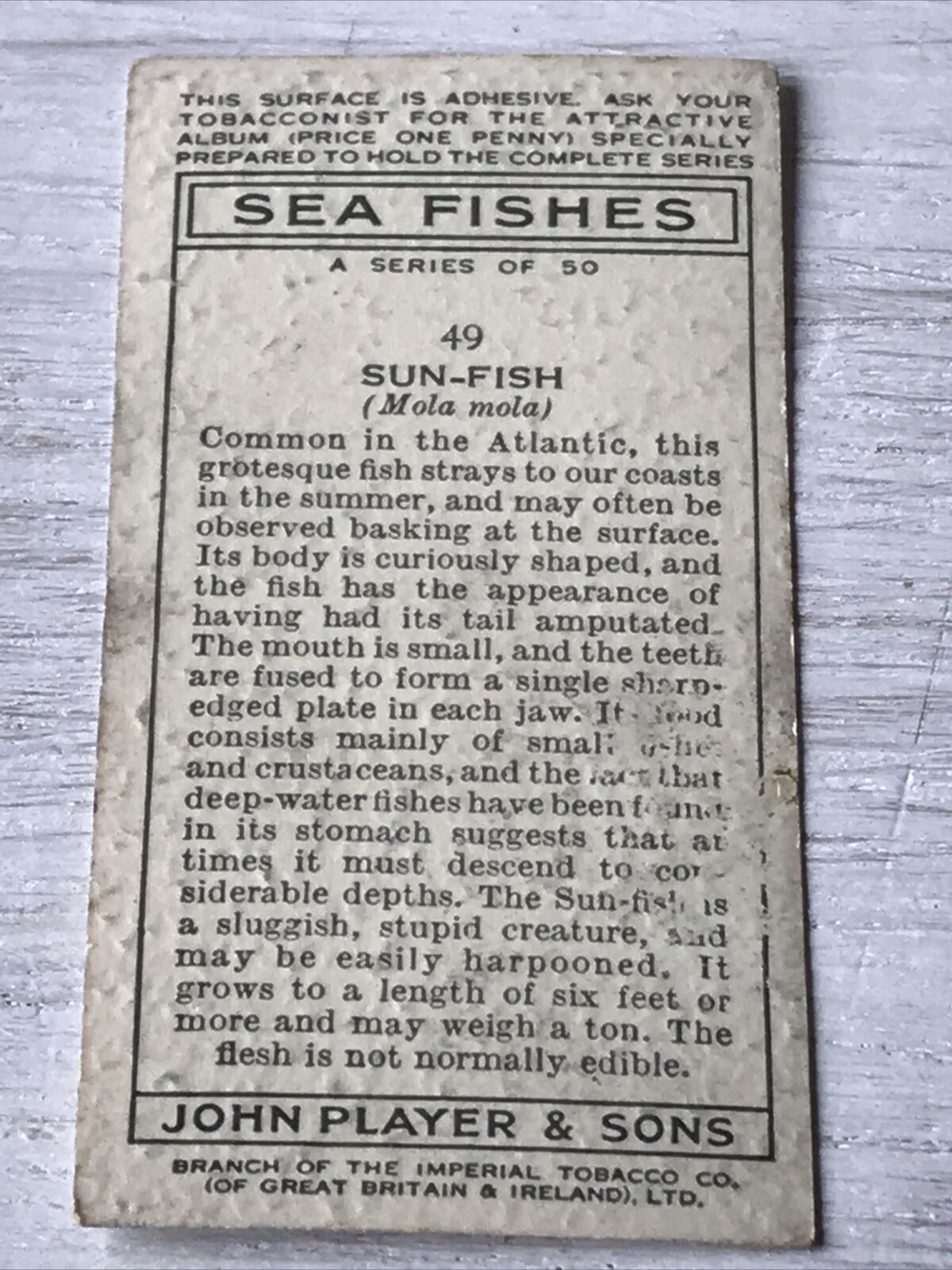 Vintage Players Cigarette Card - Sea Fishes - No. 49 Sun-fish - Atlantic Ocean - 1930s