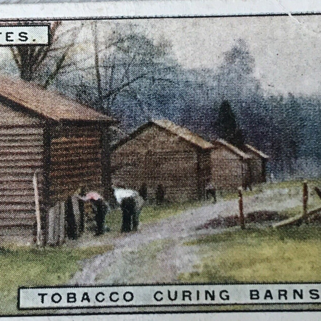 Vintage Players Cigarette Card - From Plantation To Smoker - No. 10 - Tobacco Curing Barn