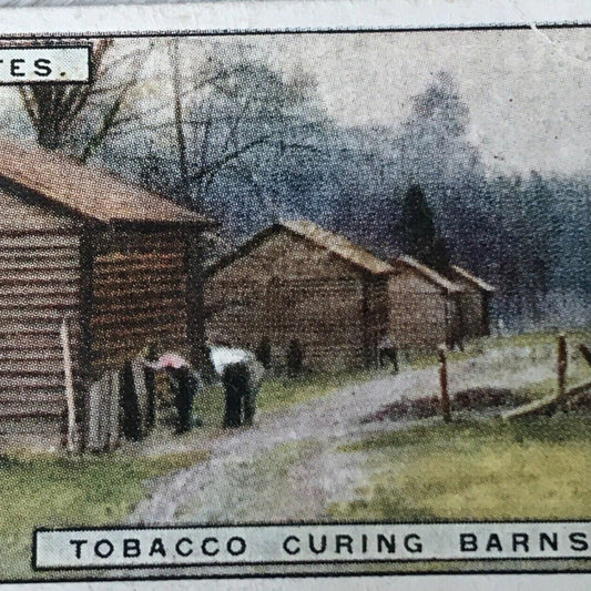 Vintage Players Cigarette Card - From Plantation To Smoker - No. 10 - Tobacco Curing Barn