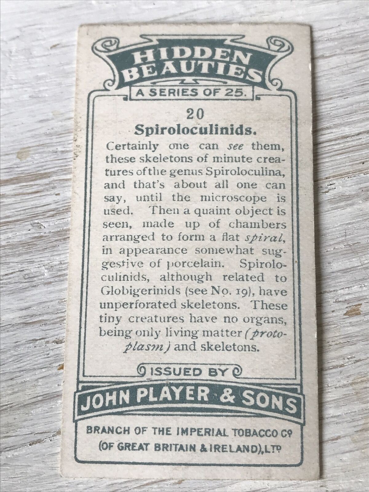 Players Cigarettes Card Hidden Beauties 20 Spiroloculinids Protoplasm Skeleton