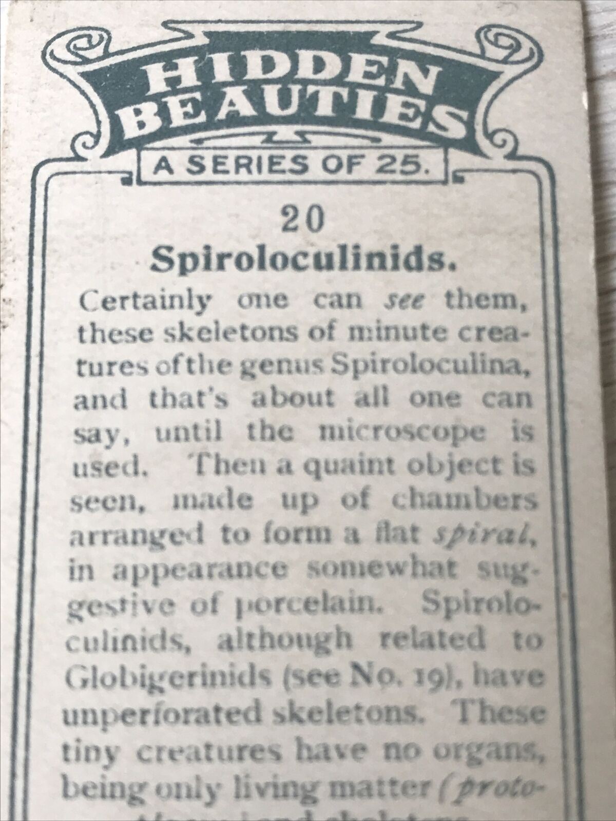 Players Cigarettes Card Hidden Beauties 20 Spiroloculinids Protoplasm Skeleton