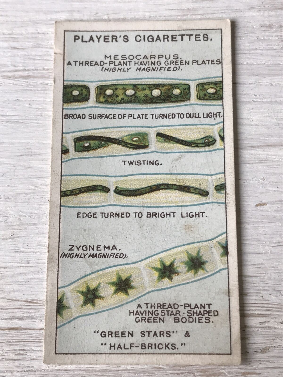 Players Cigarettes Card Hidden Beauties 3 Green Stars & Half Bricks Thread Plant