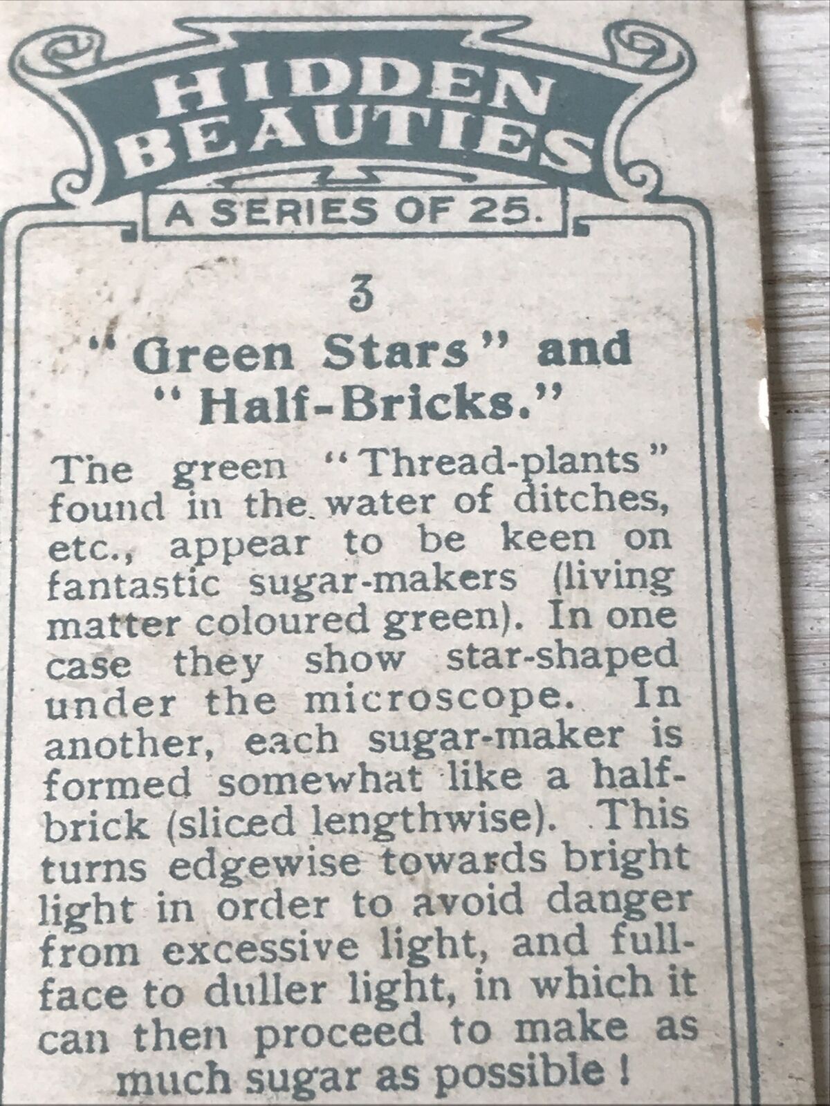 Players Cigarettes Card Hidden Beauties 3 Green Stars & Half Bricks Thread Plant