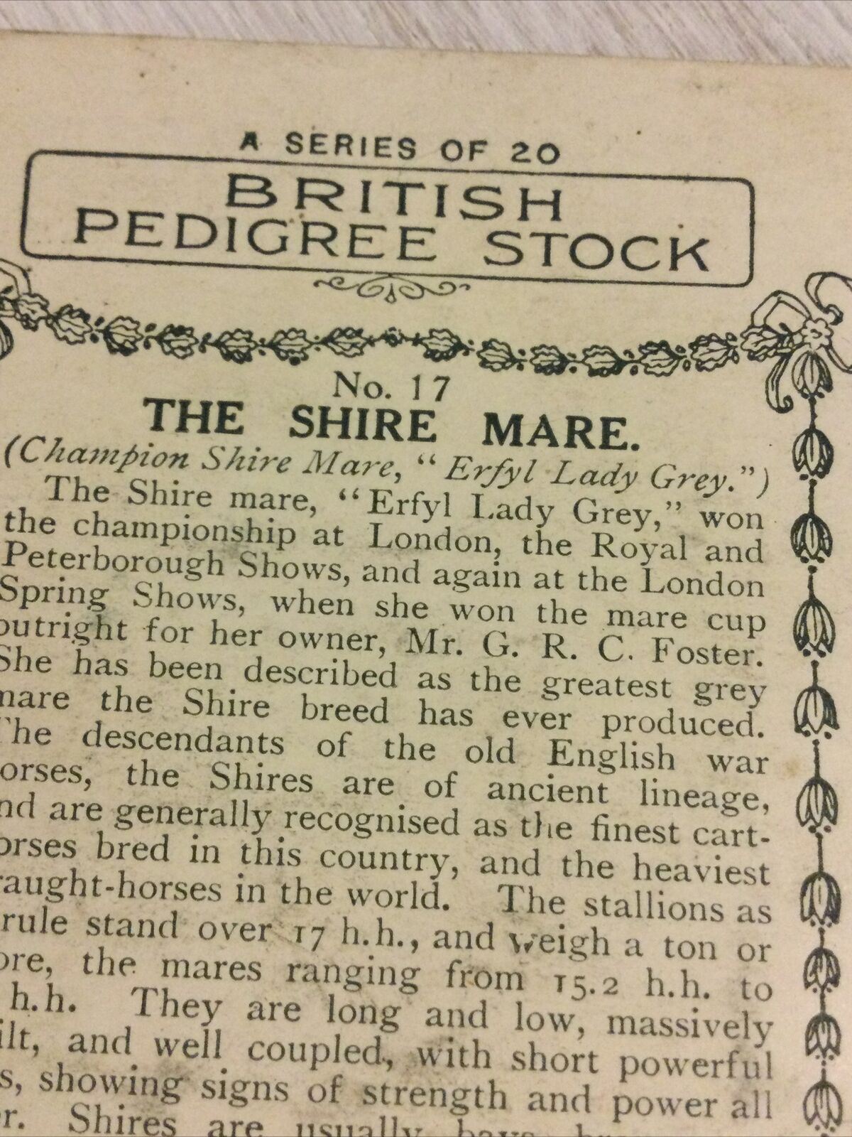 Players Cigarettes Card - Large - British Pedigree Stock - No. 17 - The Shire Mare - Erfyl Lady Grey