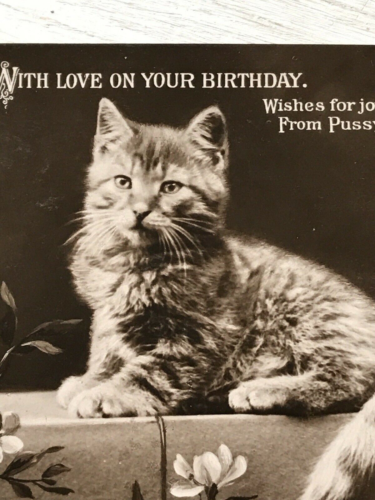Antique Birthday Greetings Postcard. Pretty Cat / Kitten With Cherry Blossom Cute 1910. Cute kitten photo.