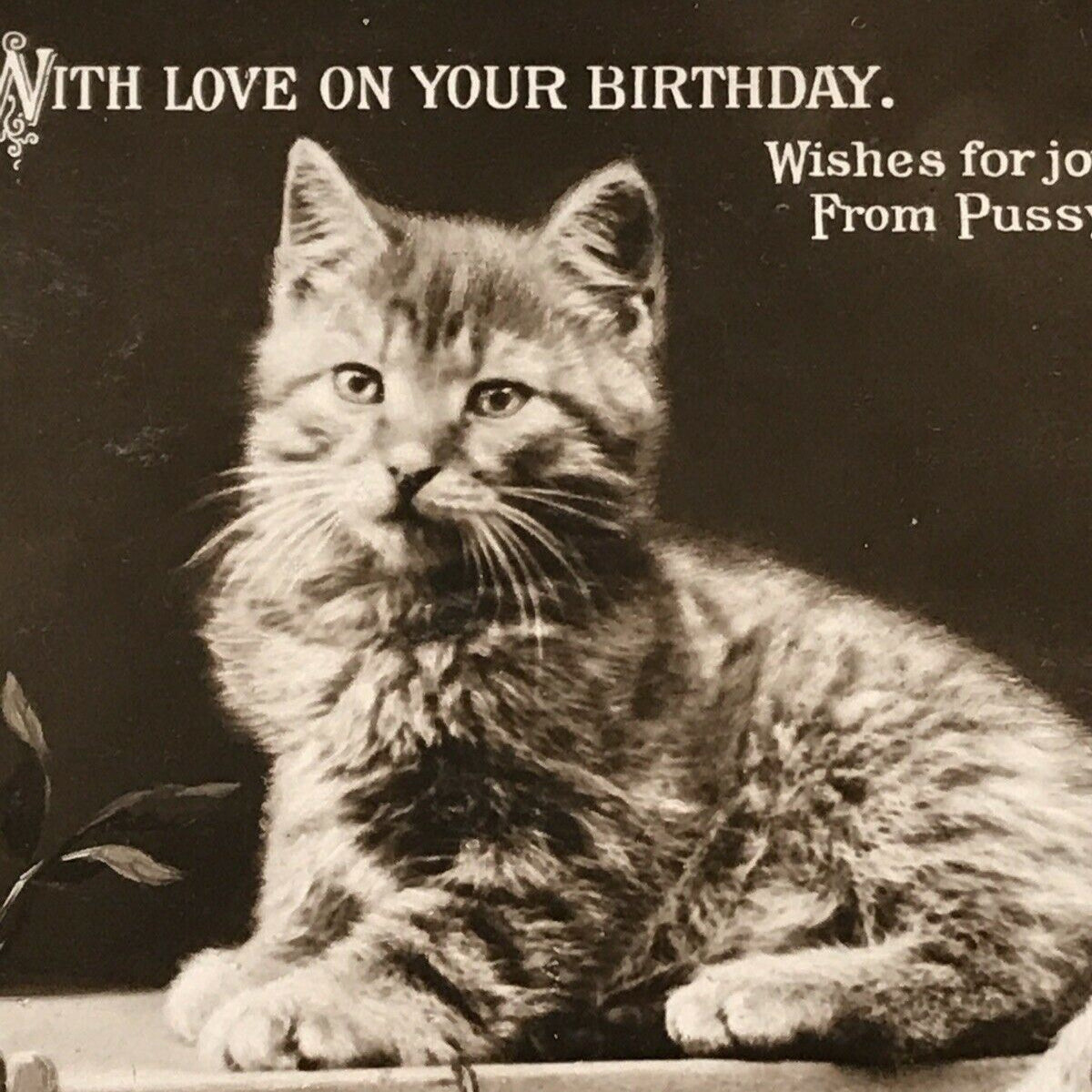 Antique Birthday Greetings Postcard. Pretty Cat / Kitten With Cherry Blossom Cute 1910. Cute kitten photo.