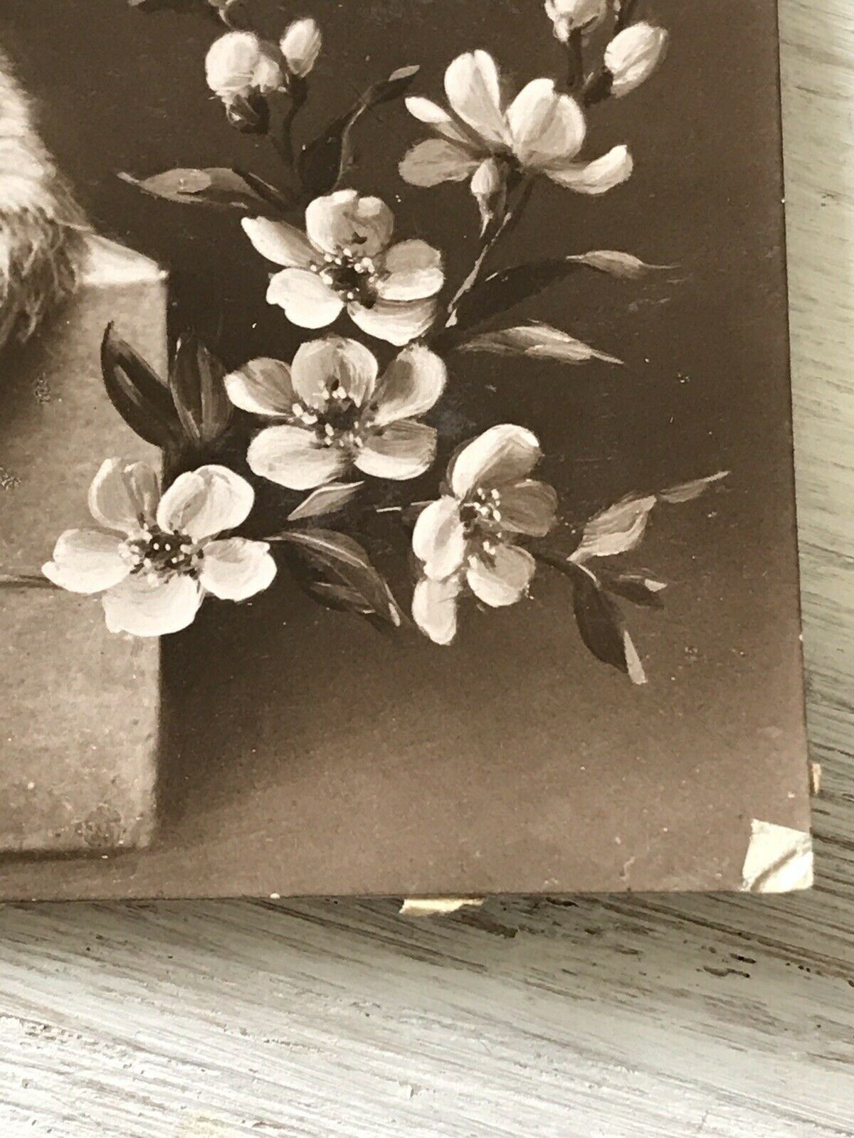 Antique Birthday Greetings Postcard. Pretty Cat / Kitten With Cherry Blossom Cute 1910. Cute kitten photo.