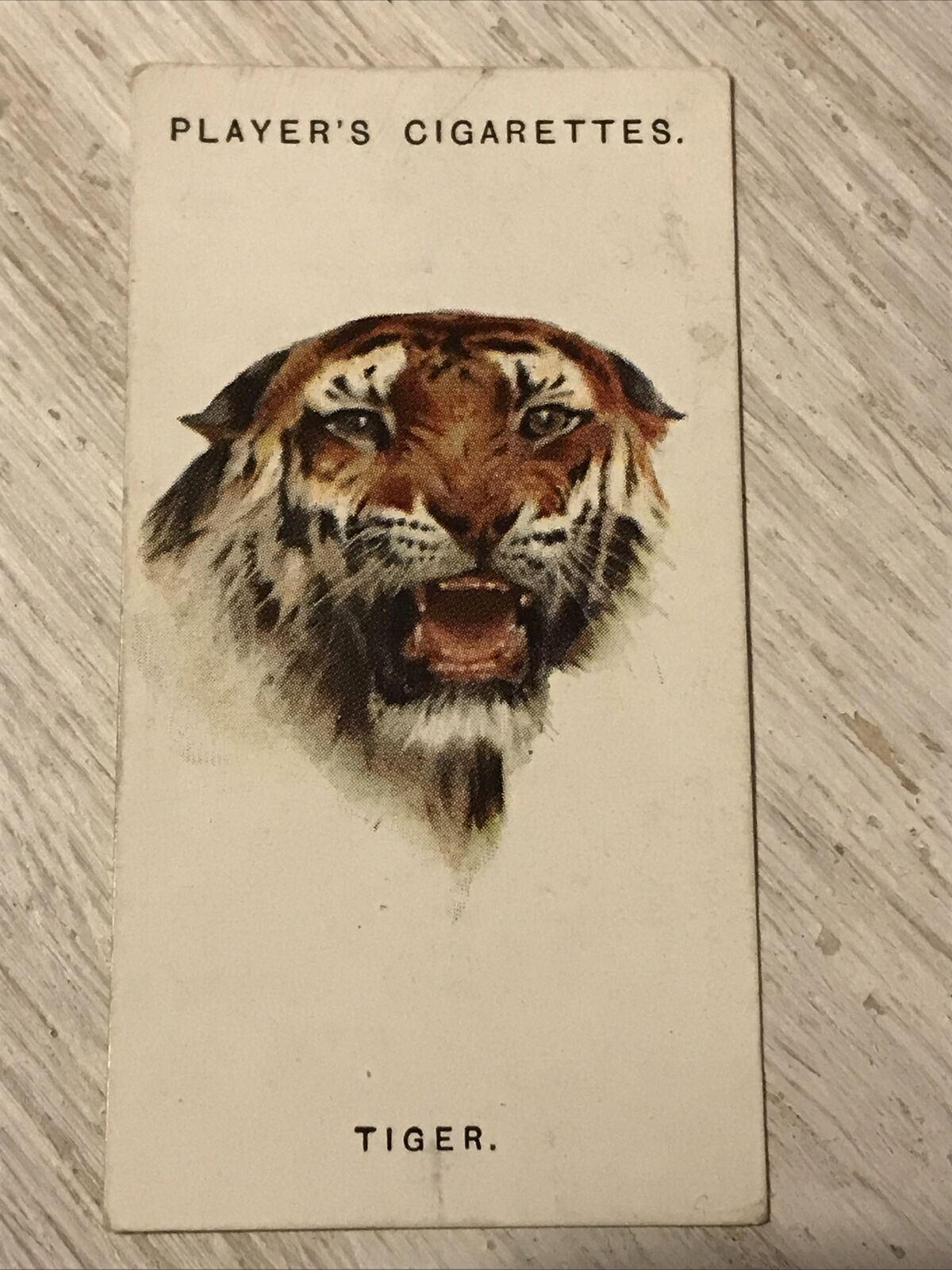 Players Cigarettes Card Wild Animals Heads 46 Tiger Arthur Wardle Vintage