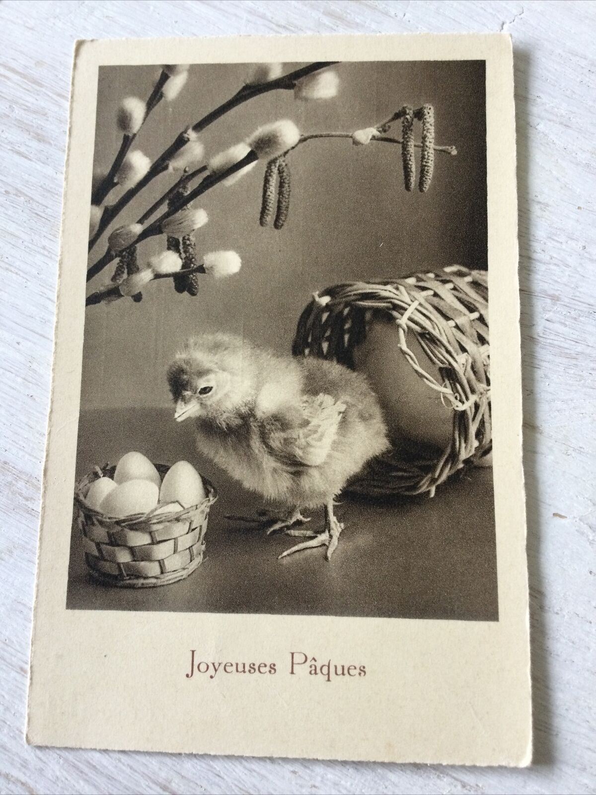Vintage Easter Greetings Postcard Card French Joyeuses Paques Chick Catkins Eggs