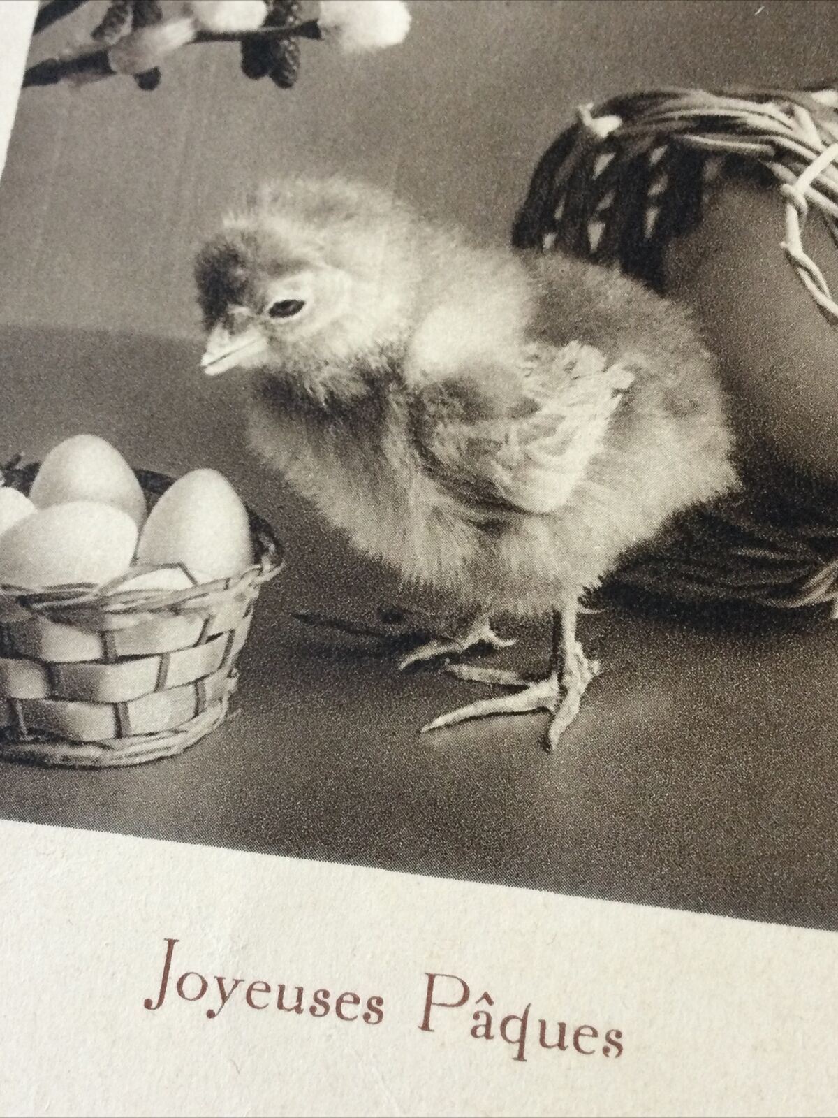 Vintage Easter Greetings Postcard Card French Joyeuses Paques Chick Catkins Eggs