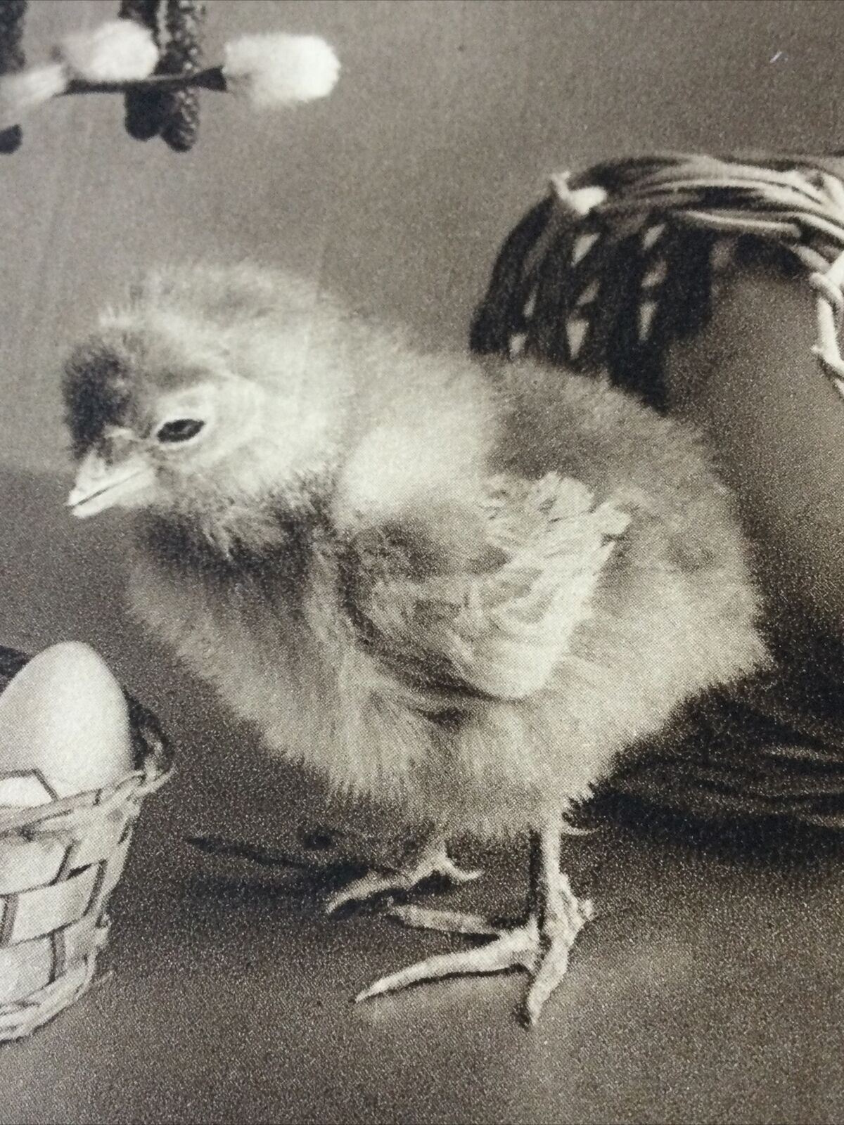 Vintage Easter Greetings Postcard Card French Joyeuses Paques Chick Catkins Eggs