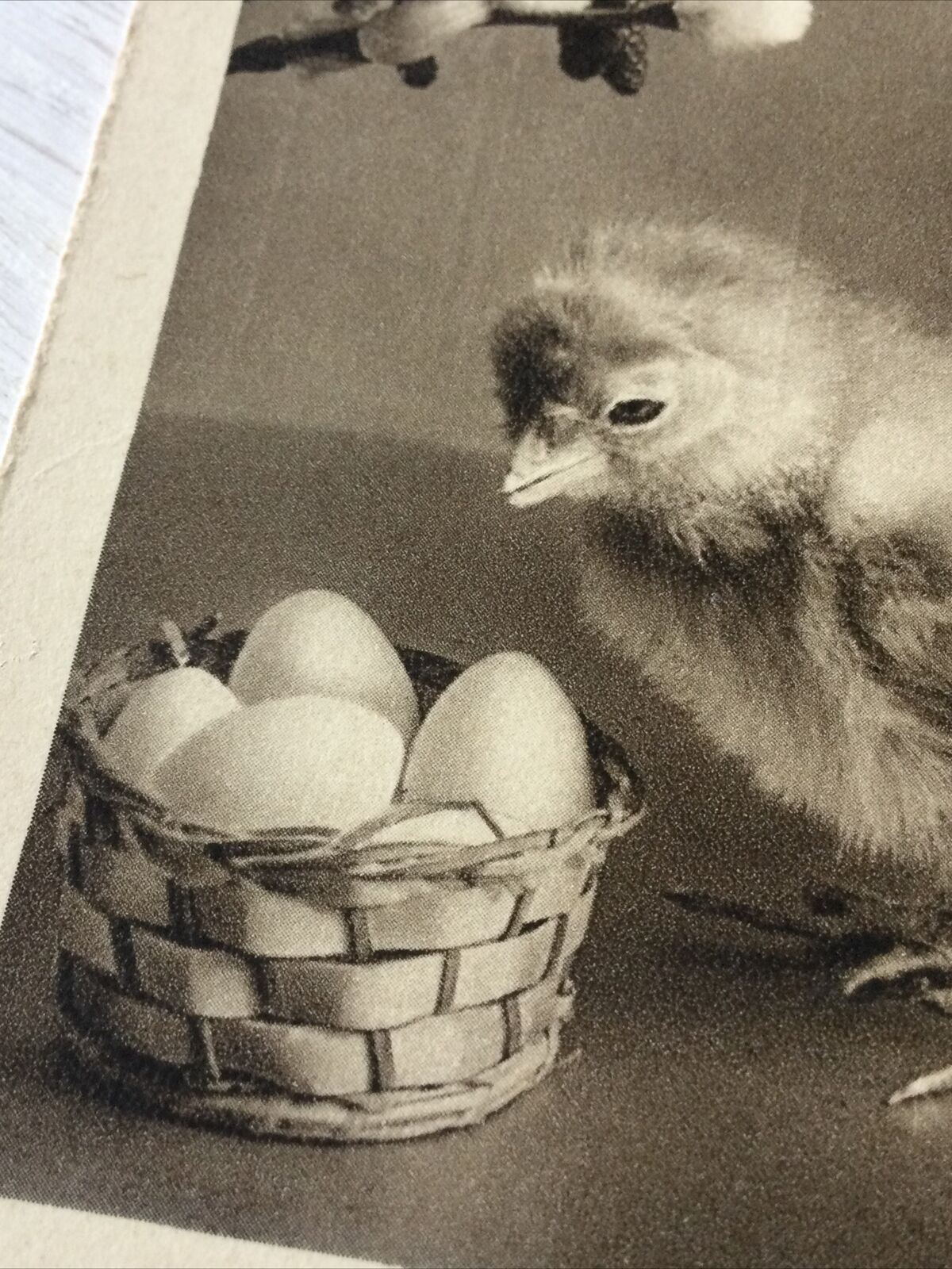 Vintage Easter Greetings Postcard Card French Joyeuses Paques Chick Catkins Eggs
