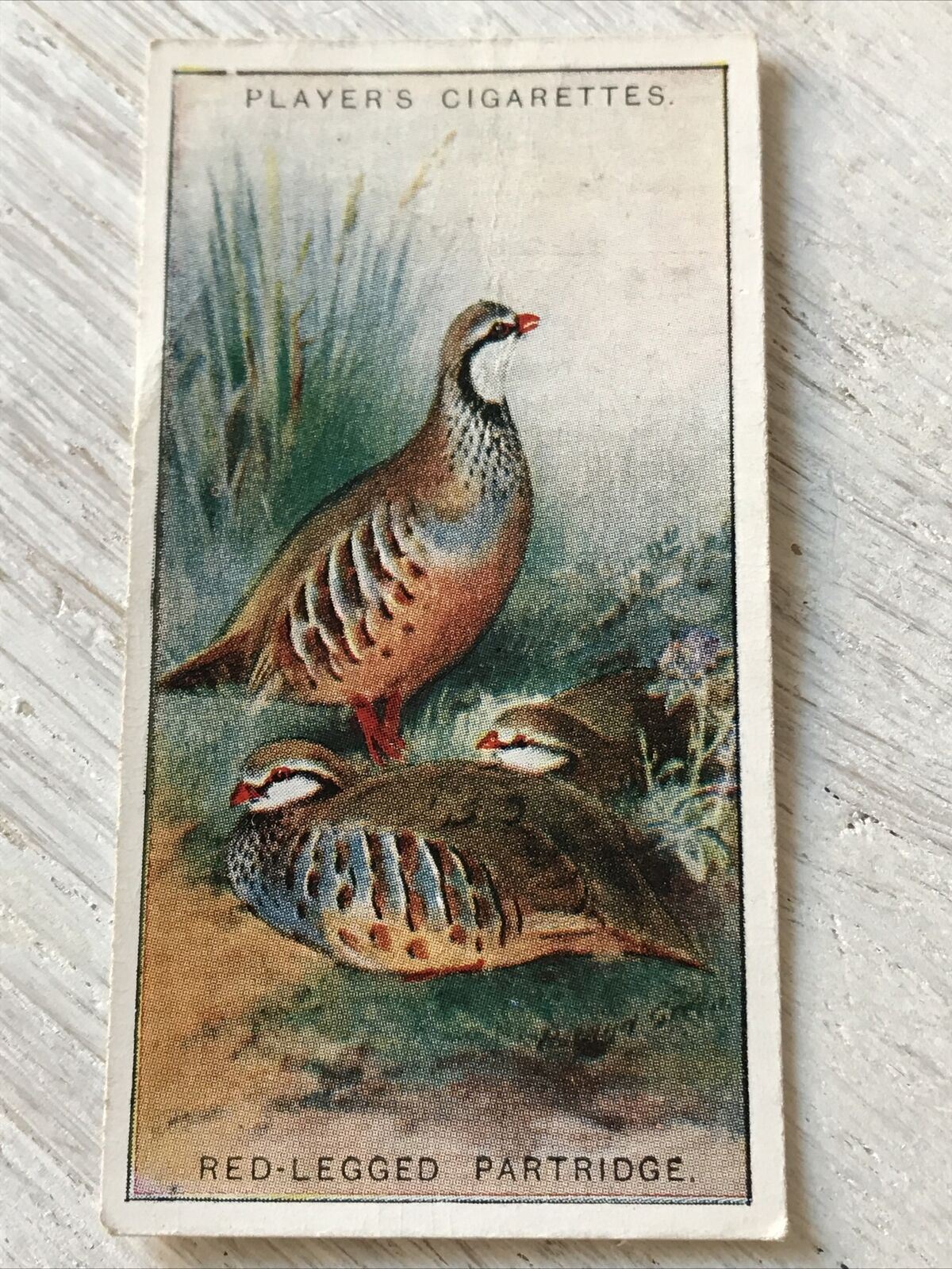 Players Cigarette Card - Game Birds & Wild Fowl - No.27 - Red Legged Partridge - Vintage