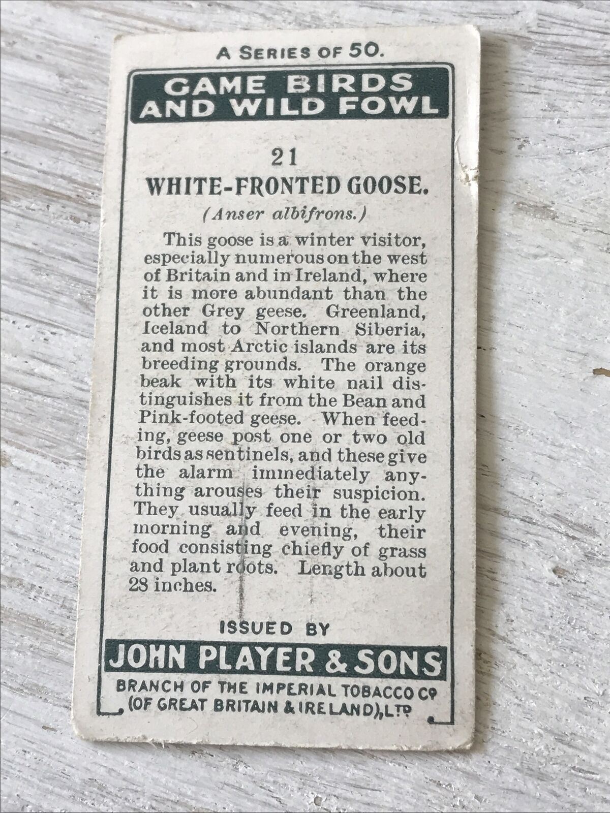 Players Cigarette Card Game Birds & Wild Game 21 White Fronted Goose Vintage