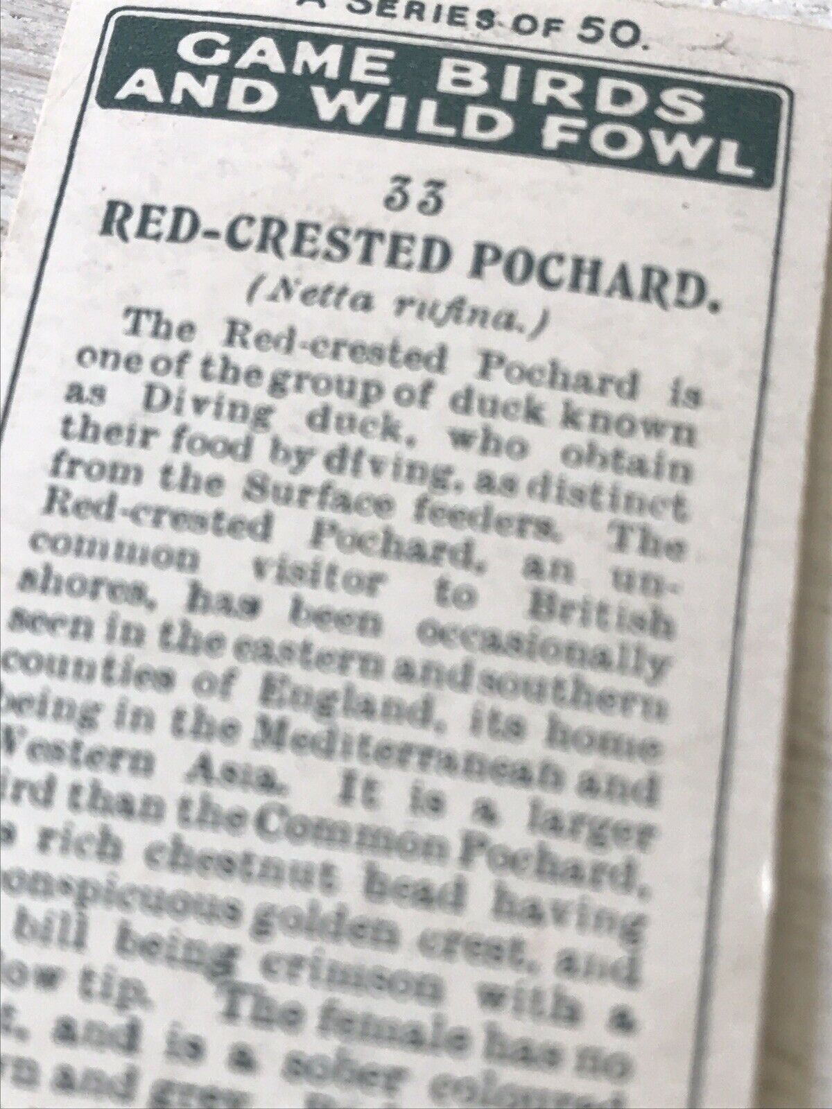 Players Cigarette Card Game Birds & Wild Game 33 Red Crested Pochard Duck