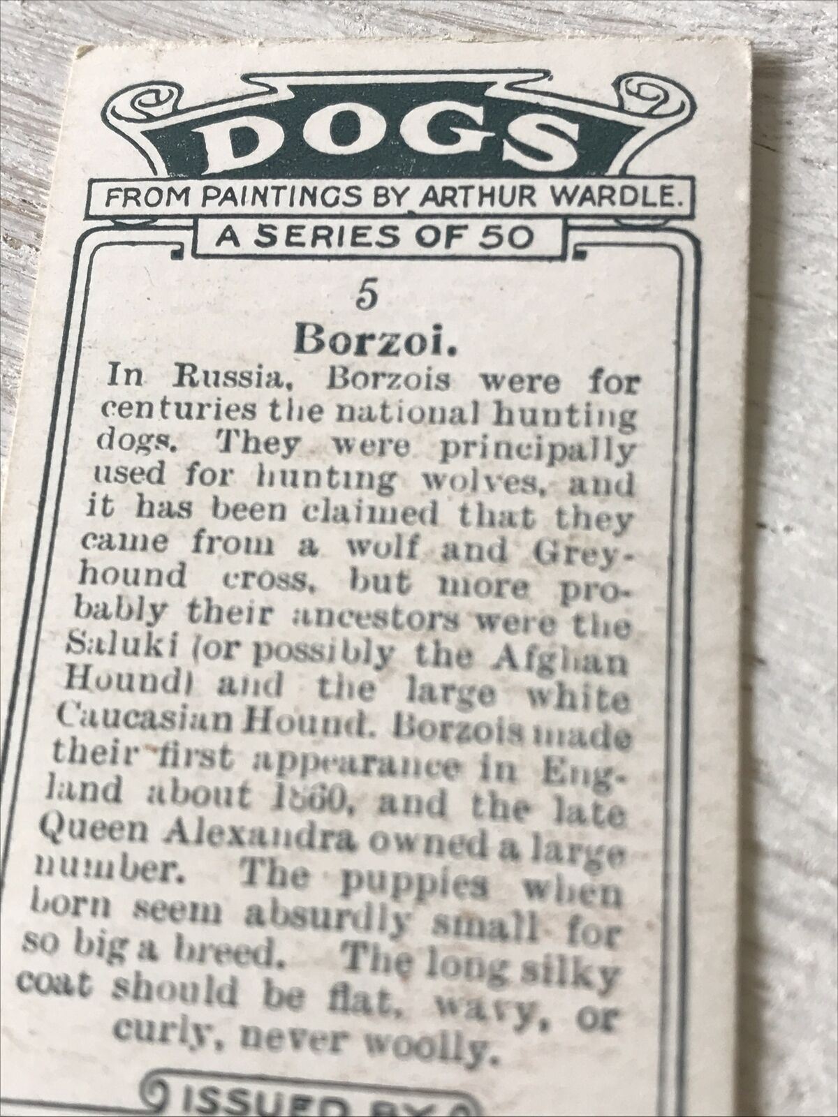 Players Cigarette Card - Dogs - No. 5 Borzoi - Russian Hunting Dog - From Arthur Wardle Painting