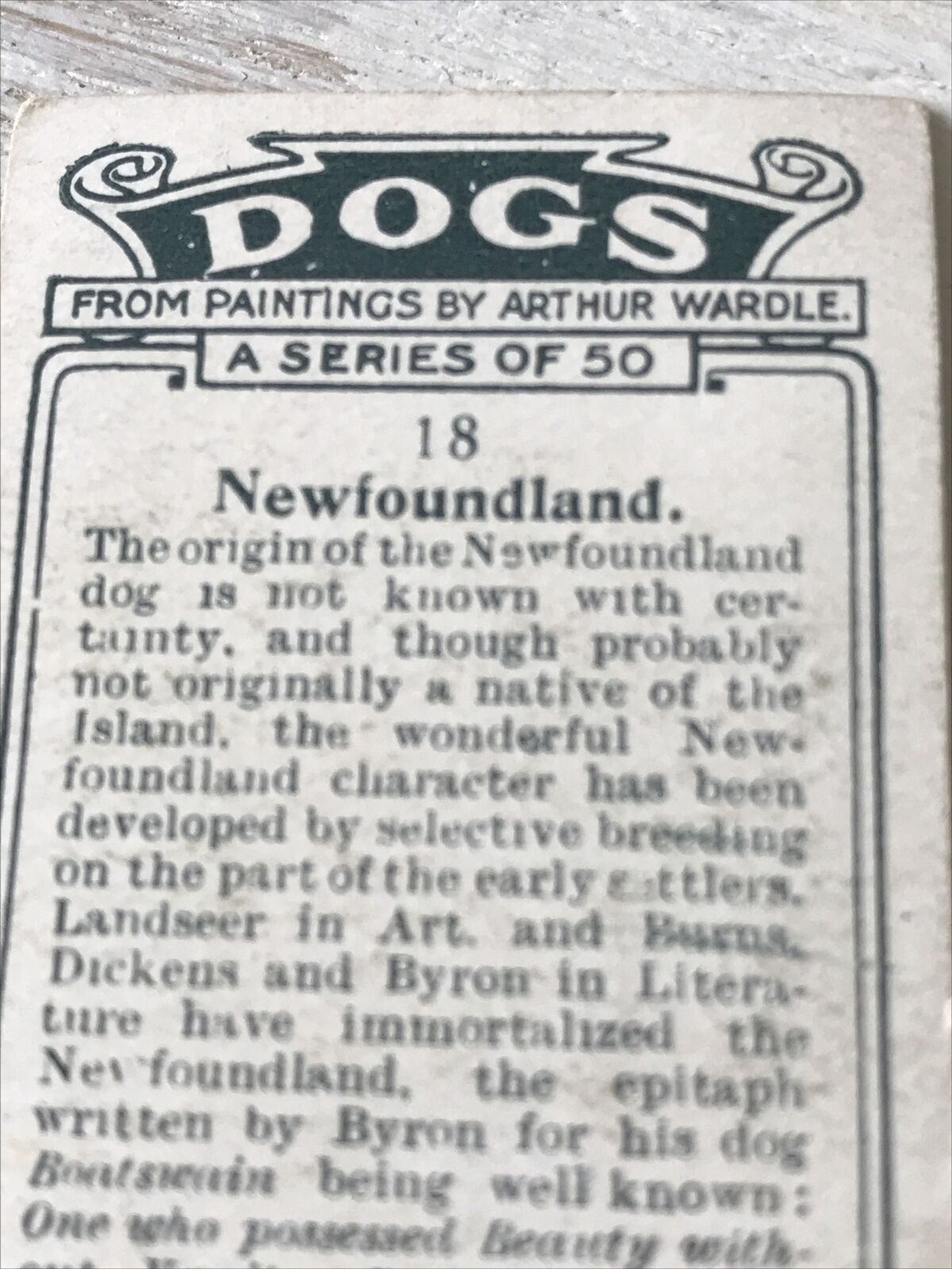 Players Cigarette Card Dogs 18 Newfoundland Vintage Arthur Wardle