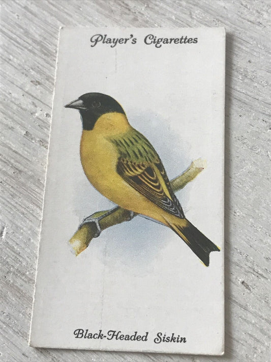 Players Cigarette Card - Aviary & Cage Birds - No. 46 Black Headed Siskin - Colourful - 1933