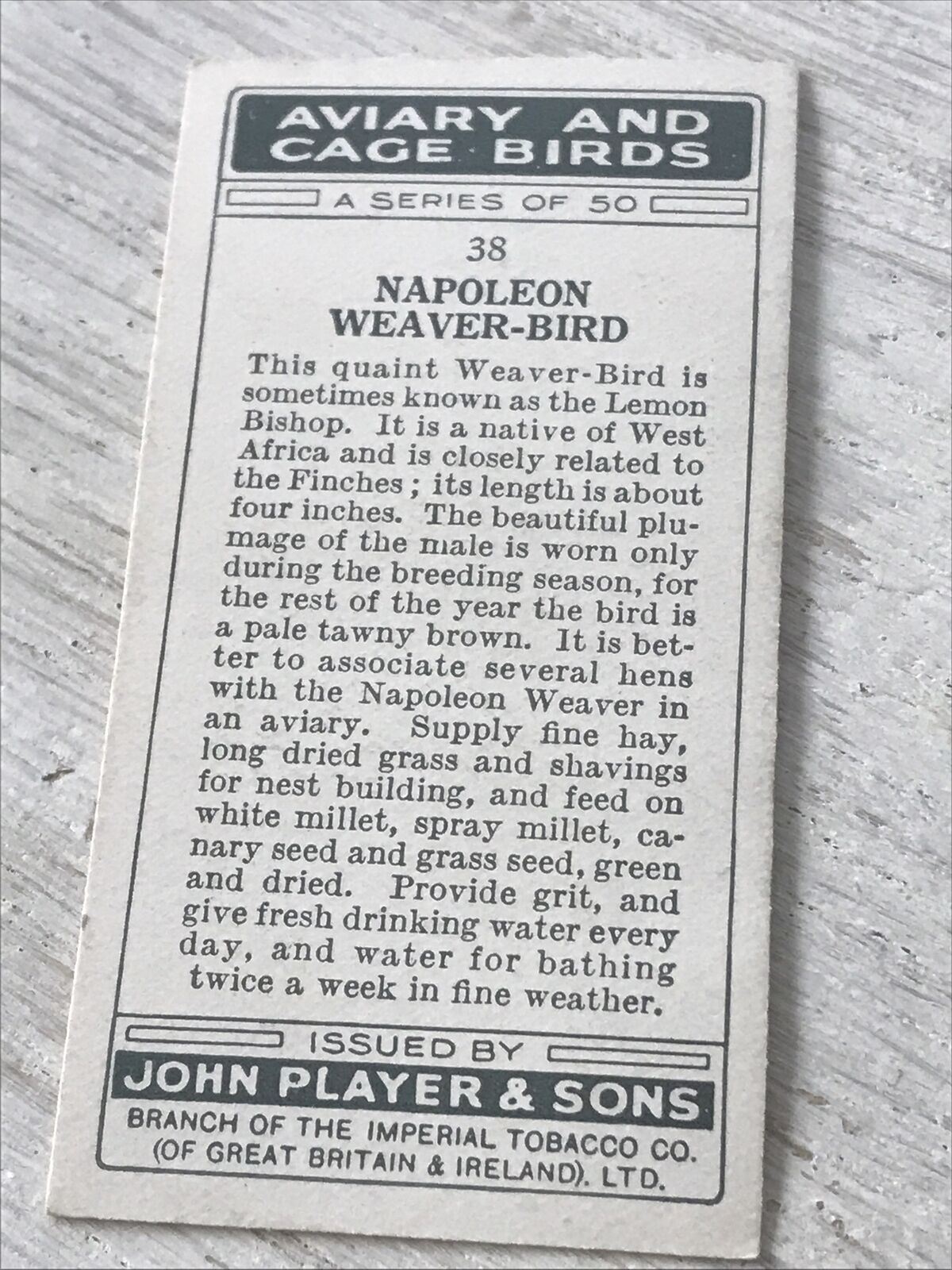 Players Cigarette Card Aviary & Cage Birds 38 Napoleon Weaver Bird Vintage